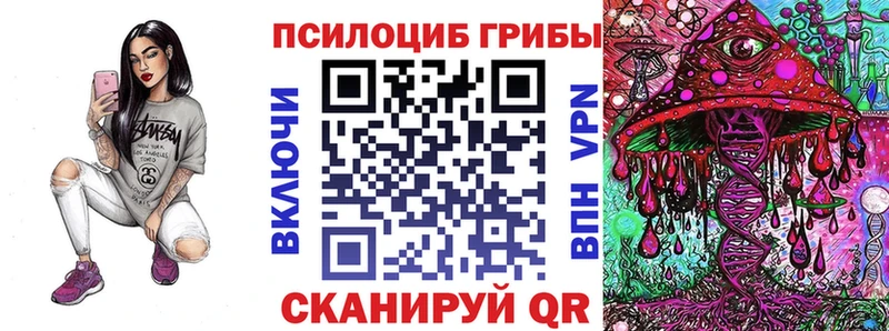 это Telegram Краснокаменск Галлюциногенные грибы Psilocybine cubensis