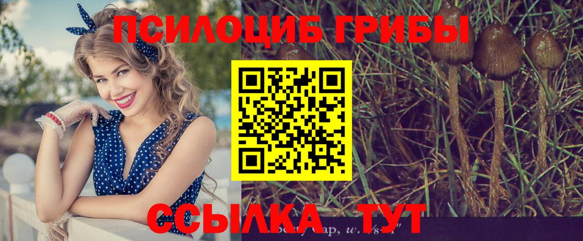 где купить наркотик  Вход с VPN  Краснокаменск  Псилоцибиновые грибы мицелий  Галлюциногенные грибы Magic Shrooms 